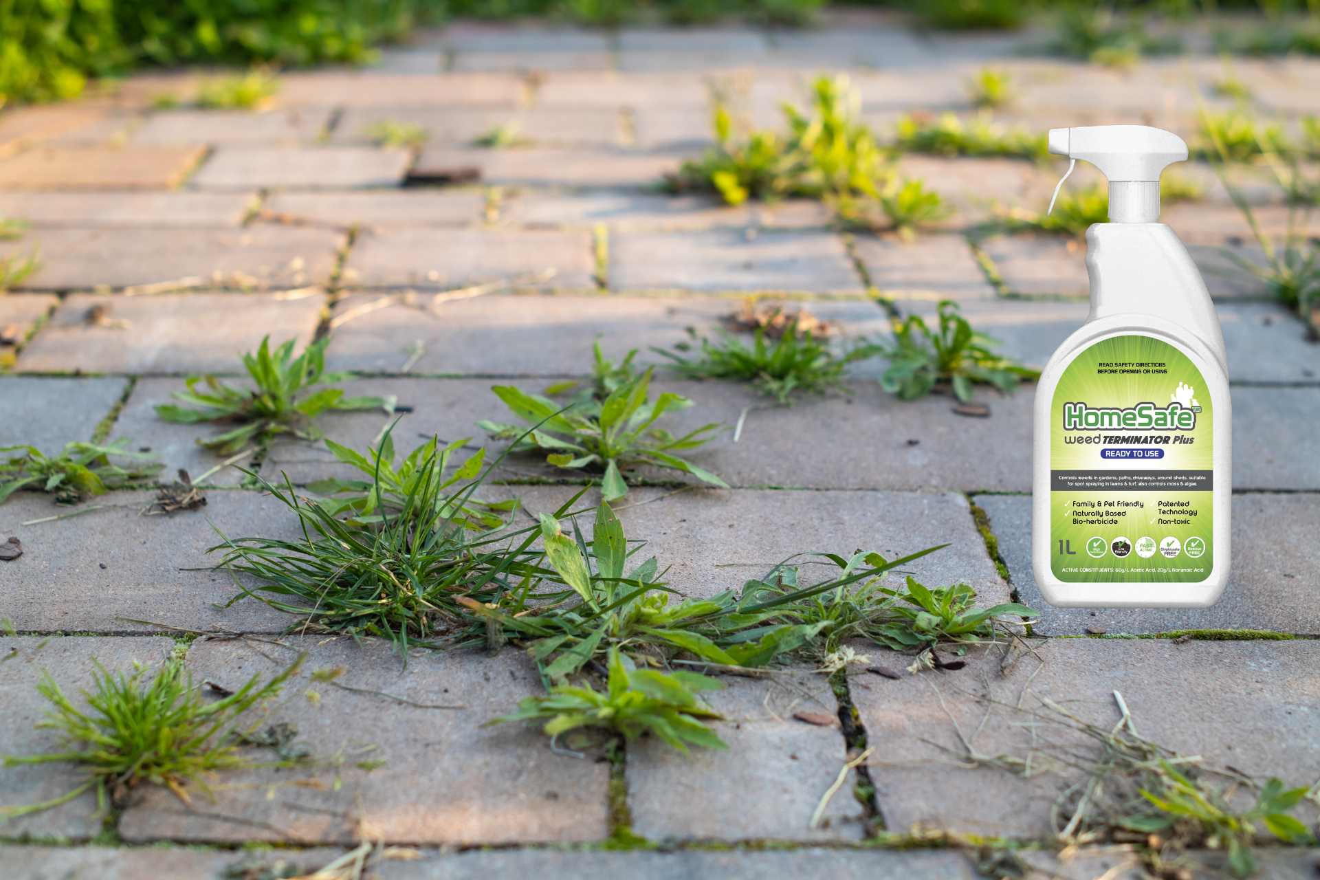 Weeds growing through paving stones with a bottle of HomeSafe Weed Terminator.