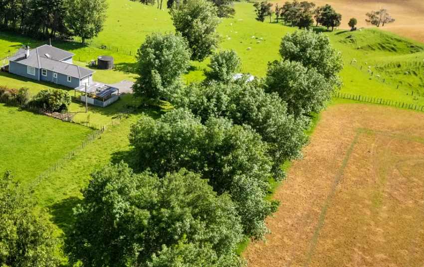 Rural New Zealand property showing contrast between green land and neighbouring paddock sprayed with glyphosate