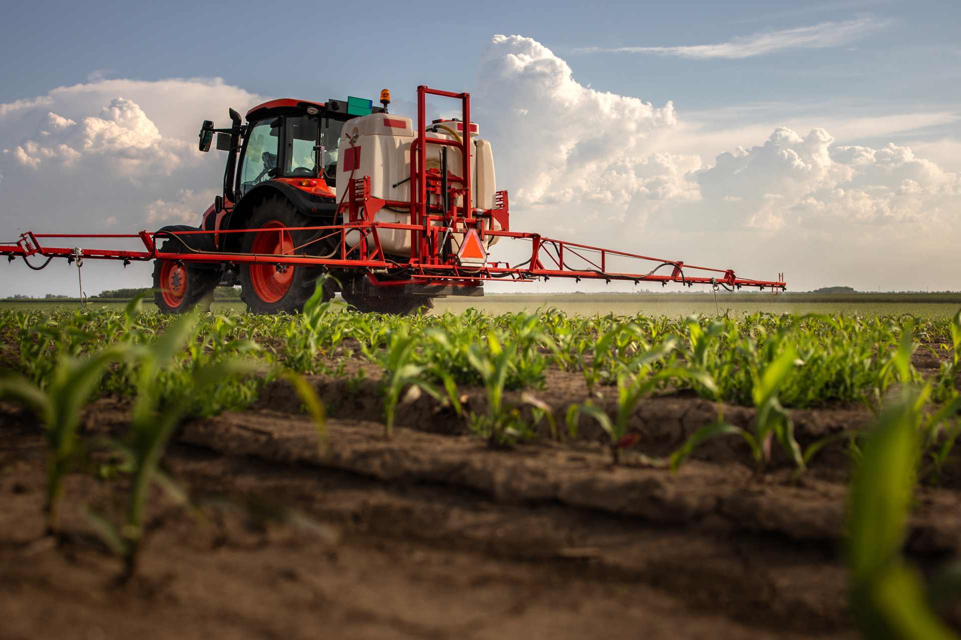 Tractor spraying roundup on a crop of corn.
