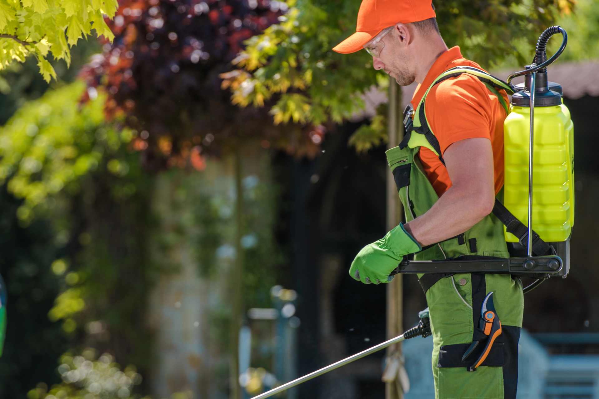 Landscape gardener spraying pesticide, wearing only gloves and no other protective gear—highlighting the everyday risks of glyphosate exposure.