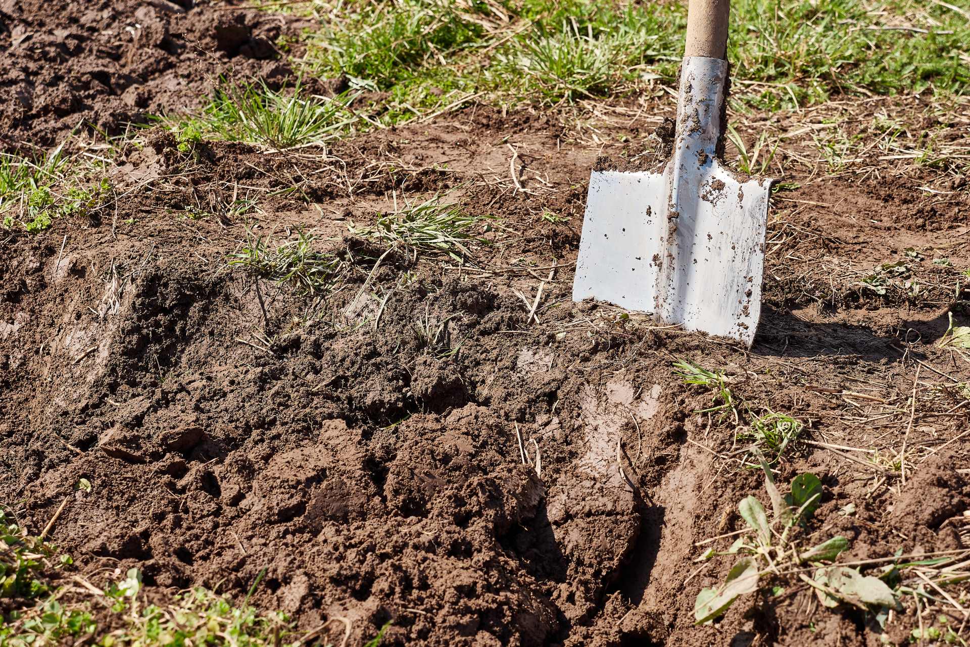 A freshly dug patch of soil with an upright spade standing in it, symbolizing human impact and the hidden changes beneath the surface.