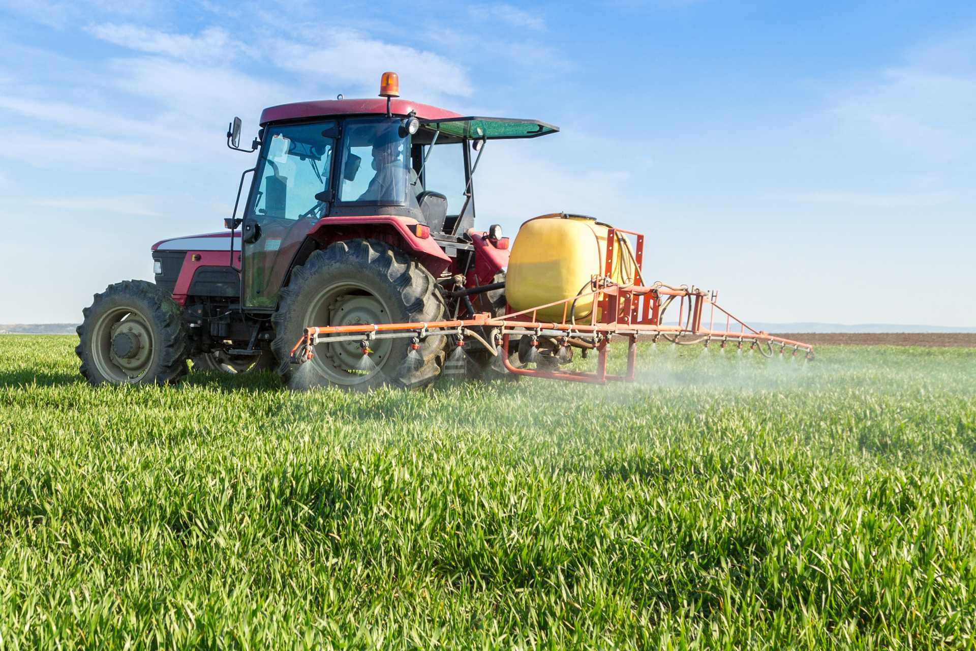 A farmer spraying a wheat crop with Glyphosate with a boom on the back of his tractor.