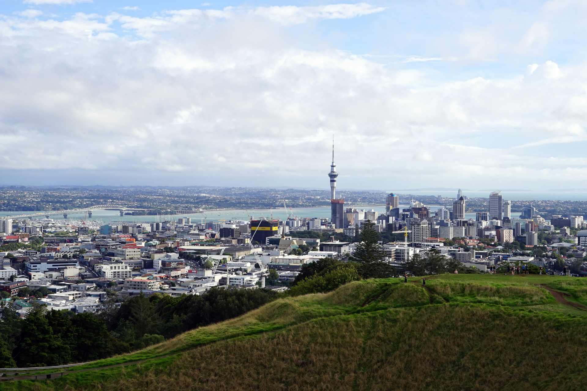 Aerial view of Auckland City with Mount Eden in the foreground, highlighting urban areas where council weed control using glyphosate may occur.