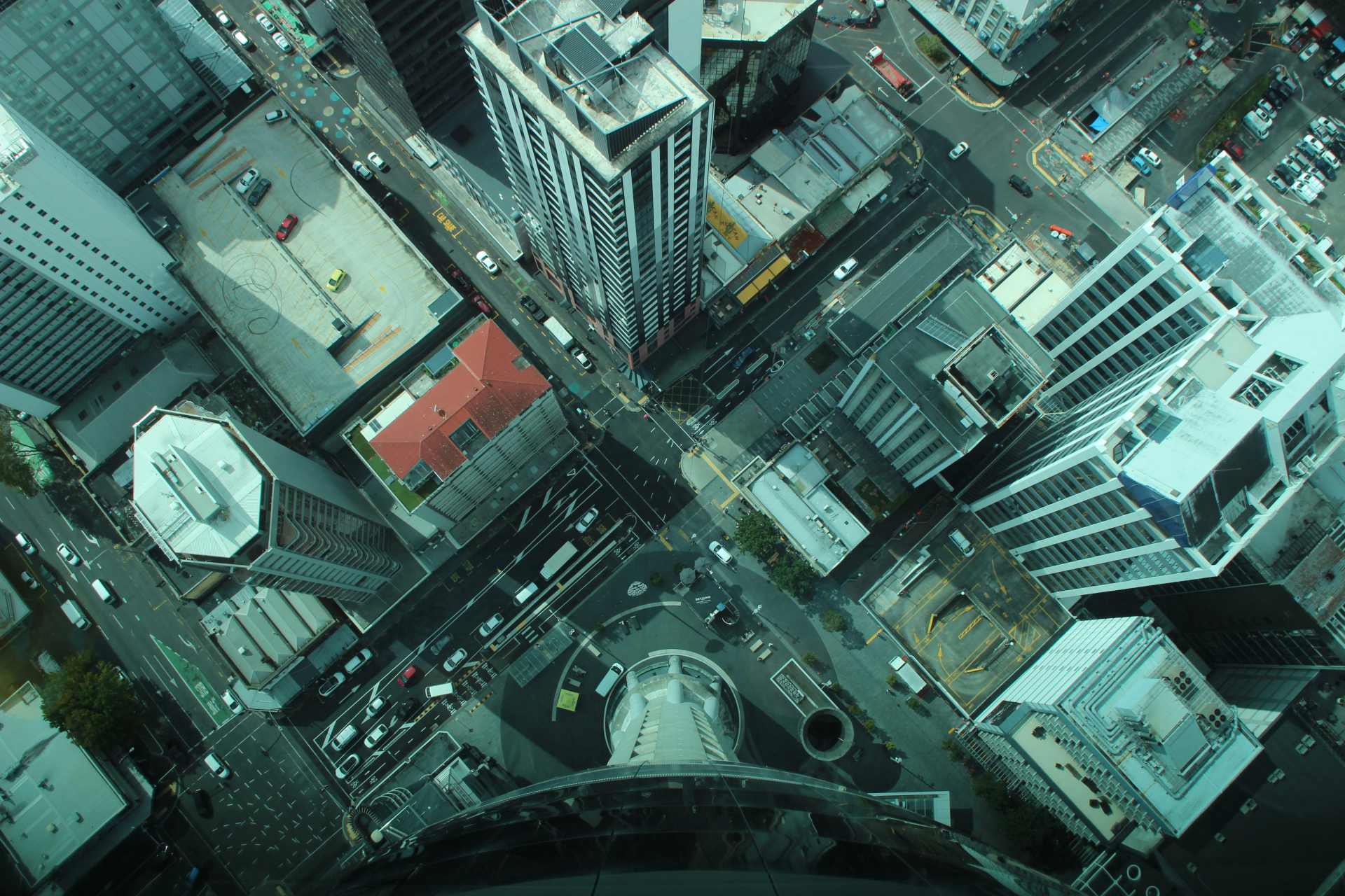 View from above showing Auckland city streets lined with footpaths and roads, where roadside glyphosate spraying commonly occurs.
