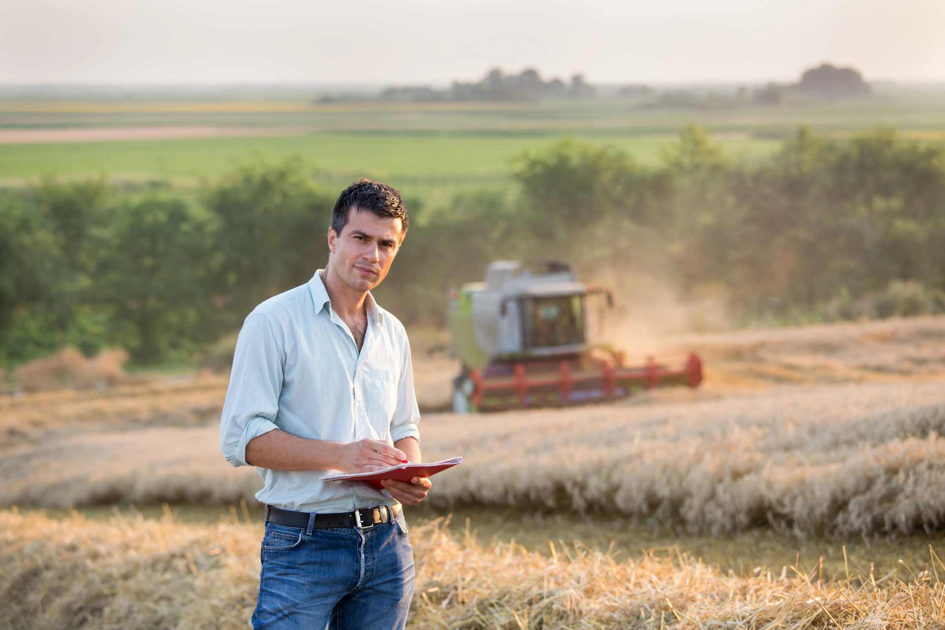 Wheat farmer holding a clipboard, overseeing harvest in a golden wheat field — symbolising the intersection of agriculture, regulation, and food safety.