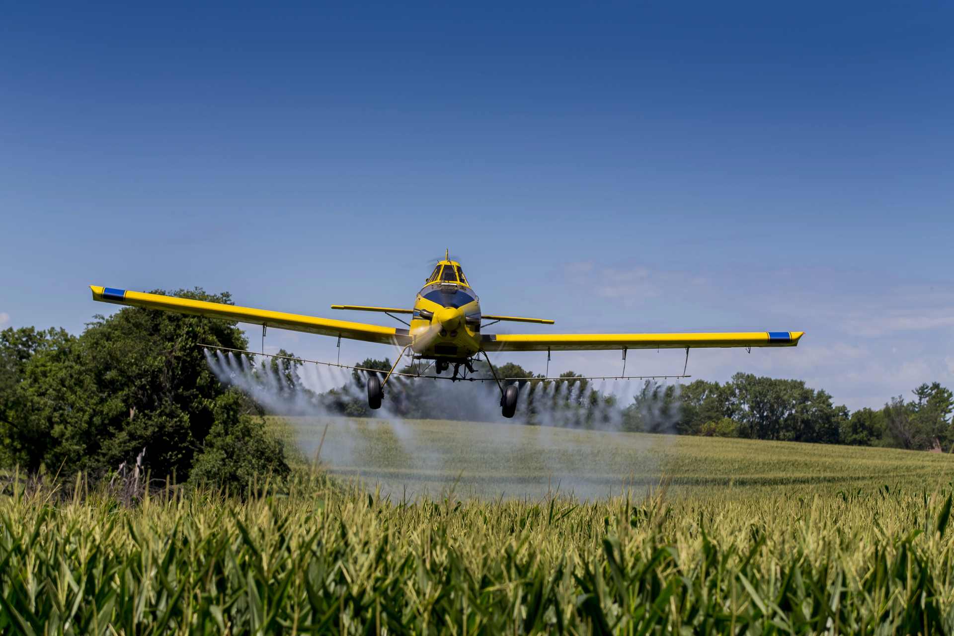 A crop duster aircraft sprays chemicals over a cornfield, symbolizing industrial agriculture and the ongoing reliance on chemical herbicides like glyphosate—and now, its potential replacements like Icafolin.
