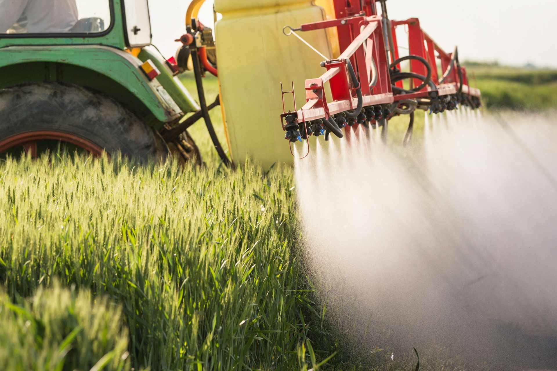 A tractor sprays glyphosate herbicide across a wheat field, illustrating how pre-harvest spraying brings residues directly into the food chain.