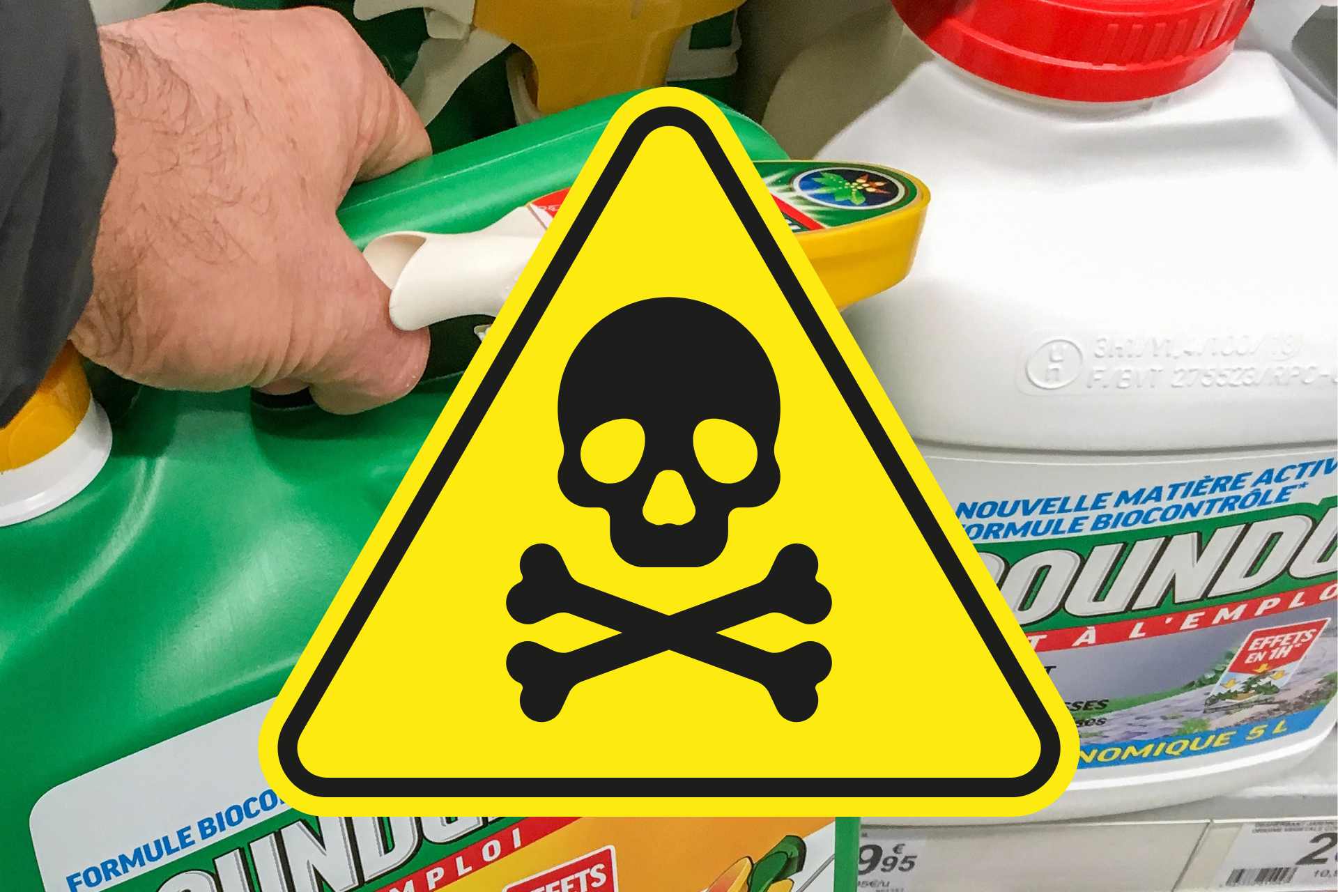 A retail store shelf display of Roundup weedkiller bottles, overlaid with a large yellow hazard triangle symbol, highlighting the hidden risks behind everyday retail packaging.