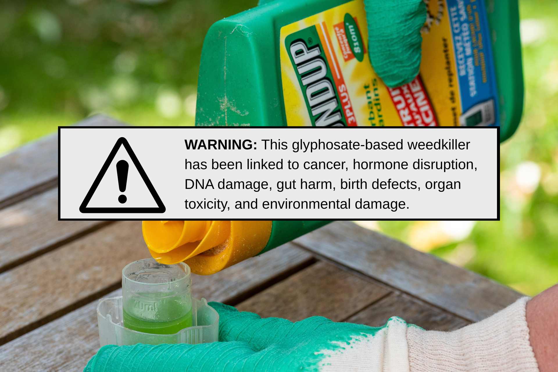 Close-up of a hand holding a Roundup spray bottle with an overlaid warning label about health and environmental risks.