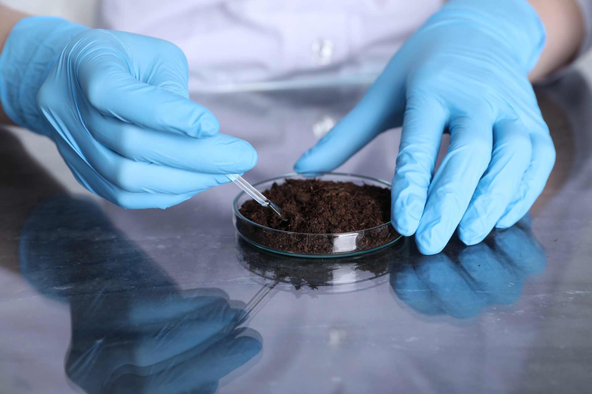 A close-up view of a scientist analysing a soil sample in a laboratory setting, representing chemical monitoring and testing in the environment.