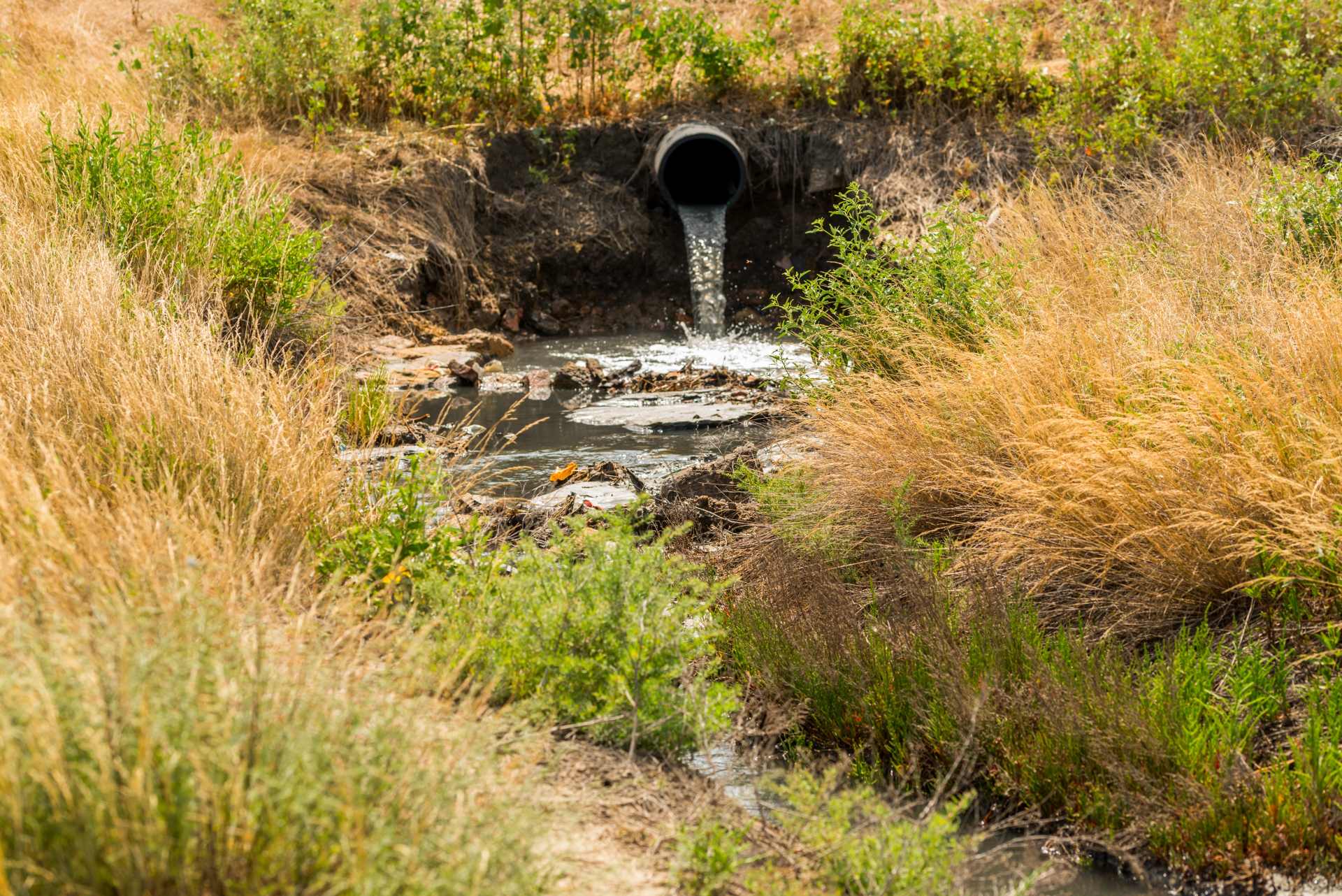 A drainage pipe discharging water into a rural stream, illustrating how chemicals can enter the environment and waterways
