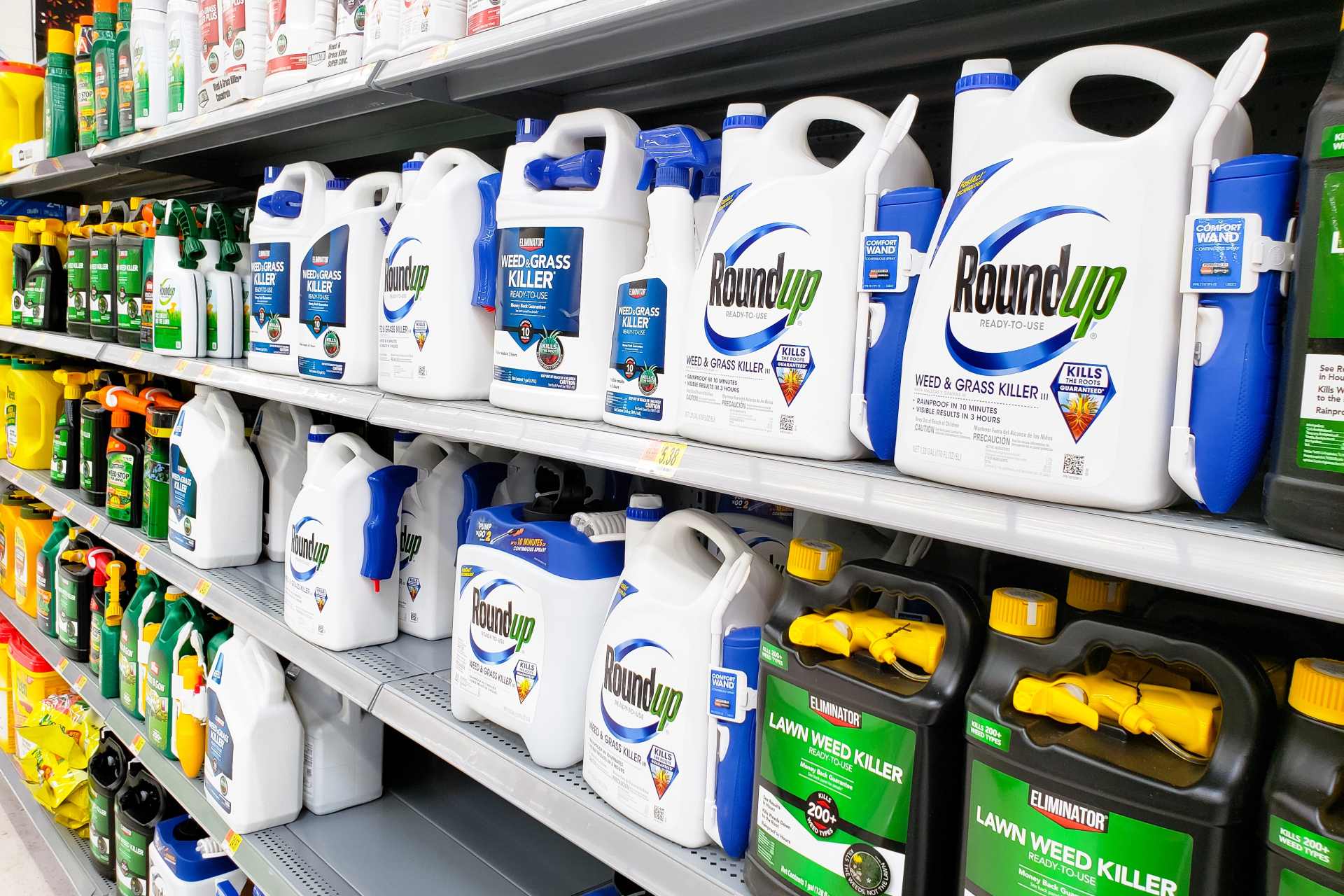 A retail shelf displaying multiple Roundup® herbicide products in bright packaging, highlighting the widespread availability of glyphosate-based weedkillers despite growing health concerns.
