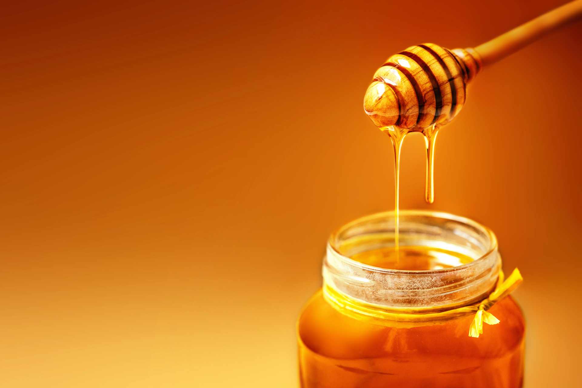 Honey jar with dipper, symbolising food safety and trade standards.