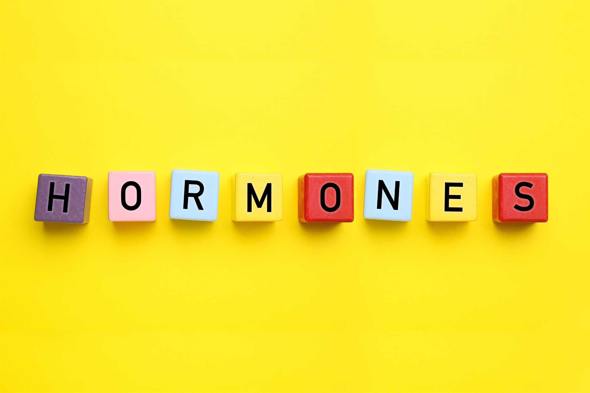 Colourful letter blocks spelling “HORMONES” on a bright yellow background, representing the body’s delicate endocrine messaging system and its vulnerability to chemical disruption.