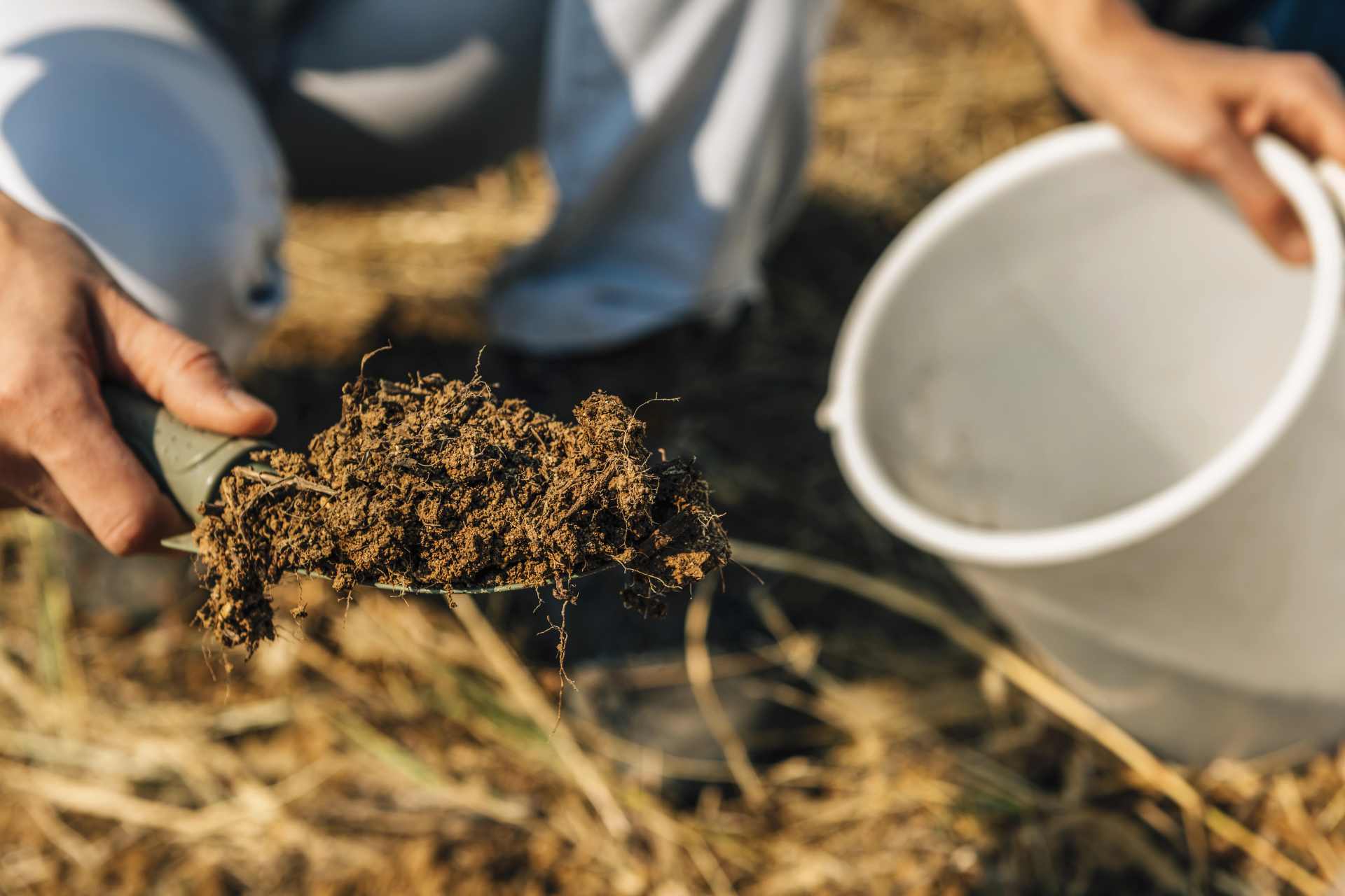 Close-up of a hand collecting soil into a bucket for testing, representing environmental sampling and glyphosate analysis.