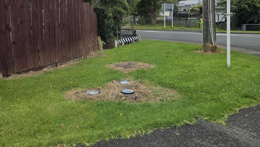 Grass surrounding 3 water valves and a manhole cover brown and dying after being sprayed with herbicide.