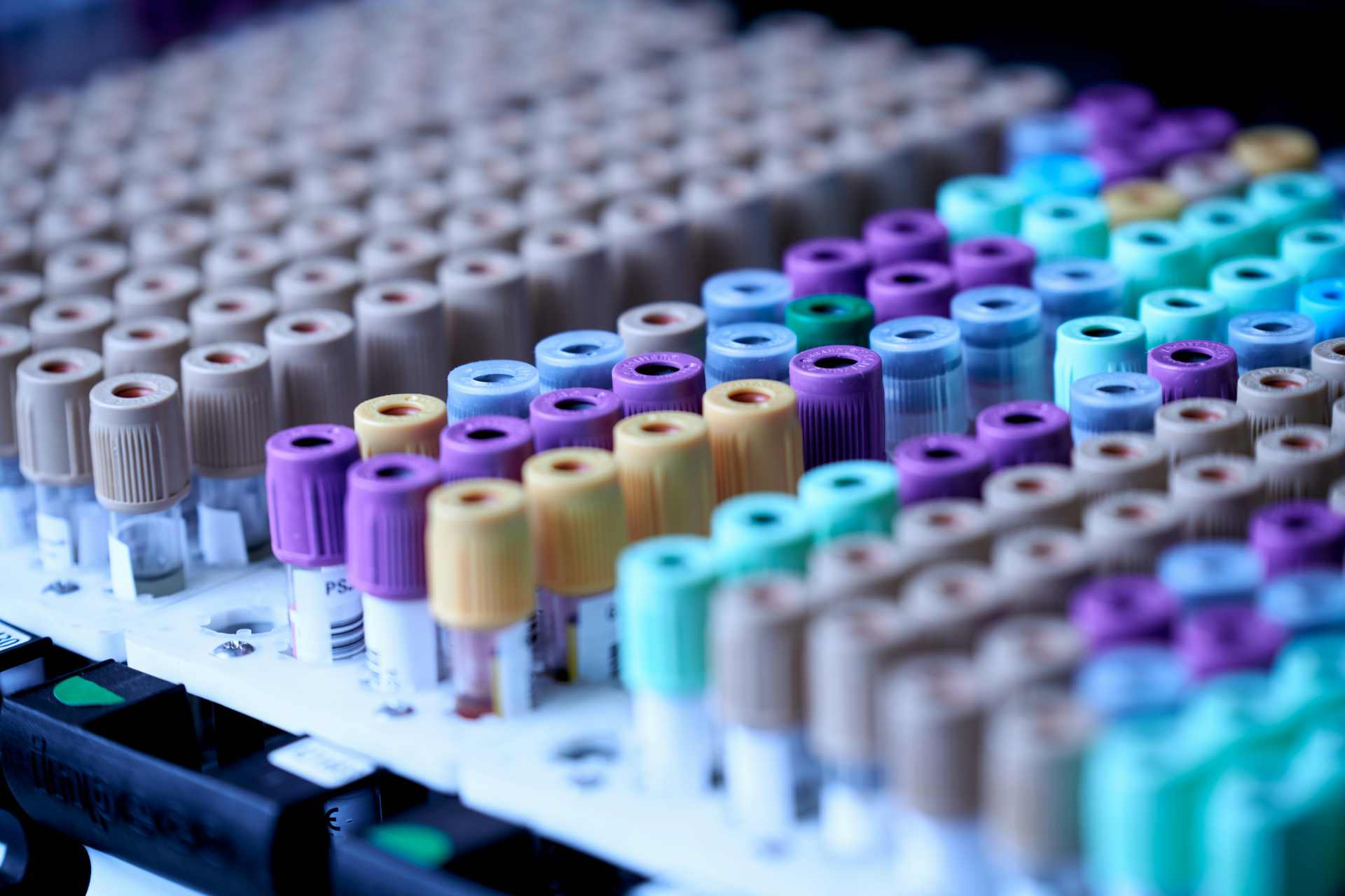 Vacutainer blood collection tubes used in laboratory research examining glyphosate exposure, metabolic changes, and early biological stress markers