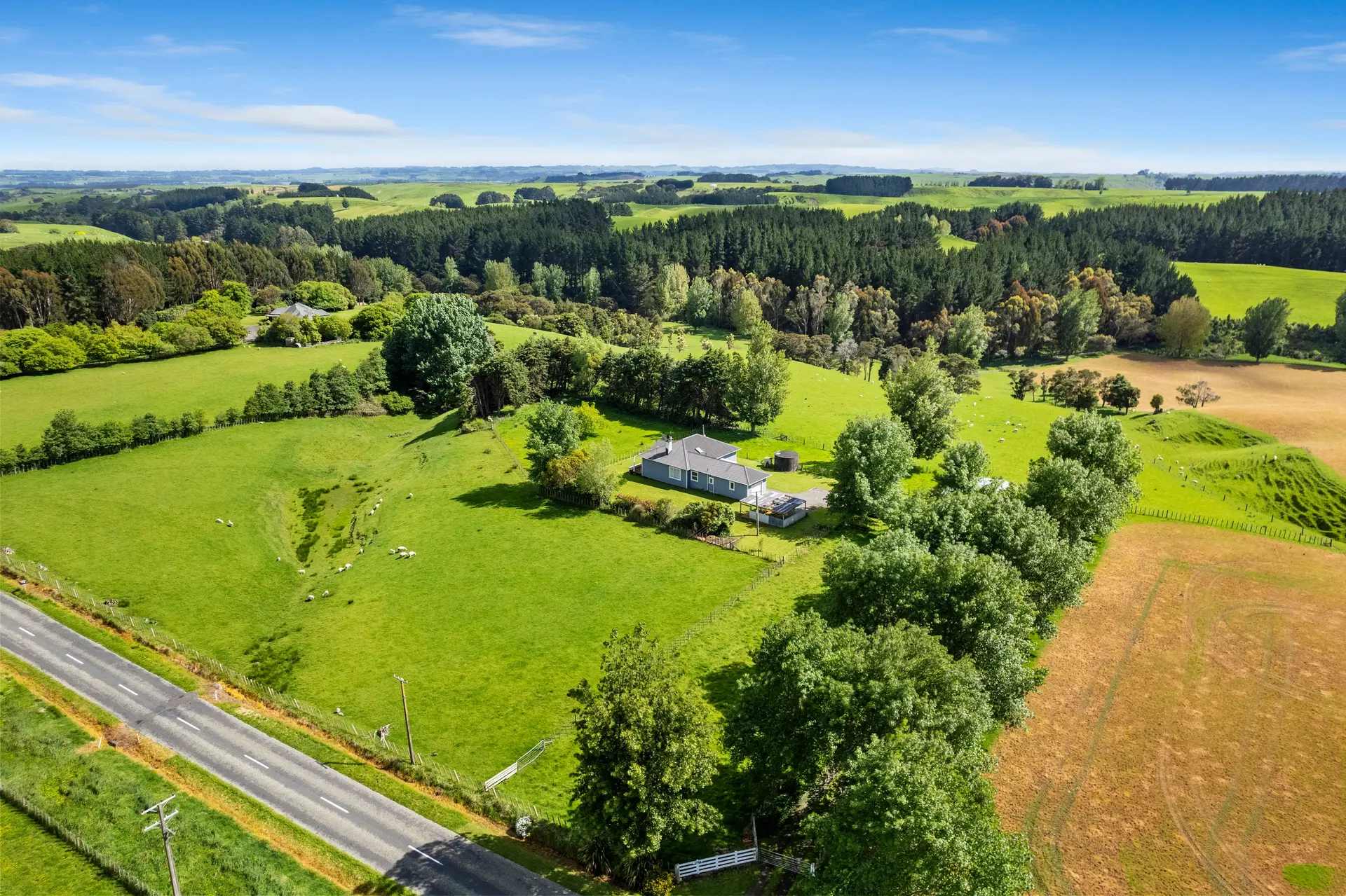 Lush green lifestyle block beside neighbouring paddock visibly browned after glyphosate spraying in rural New Zealand