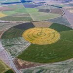 Drone view of circular crop fields showing large-scale modern farming systems and the structured patterns of industrial agriculture.