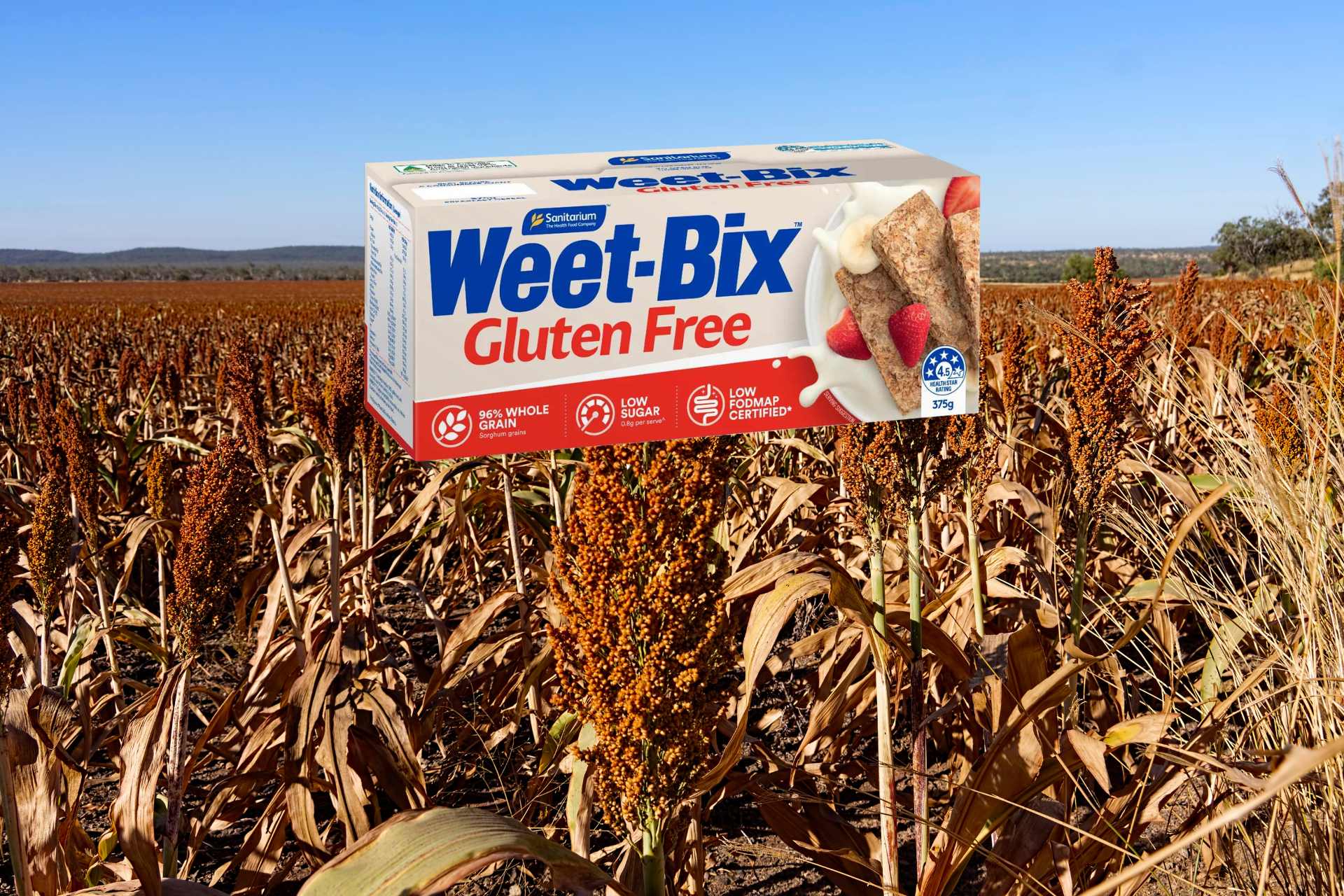 Gluten-Free Weet-Bix packet over a ripe Australian sorghum grain crop ready for harvest in Queensland, highlighting the product’s use of Australian wholegrain sorghum and the article’s discussion around glyphosate residue levels and imported grain systems.