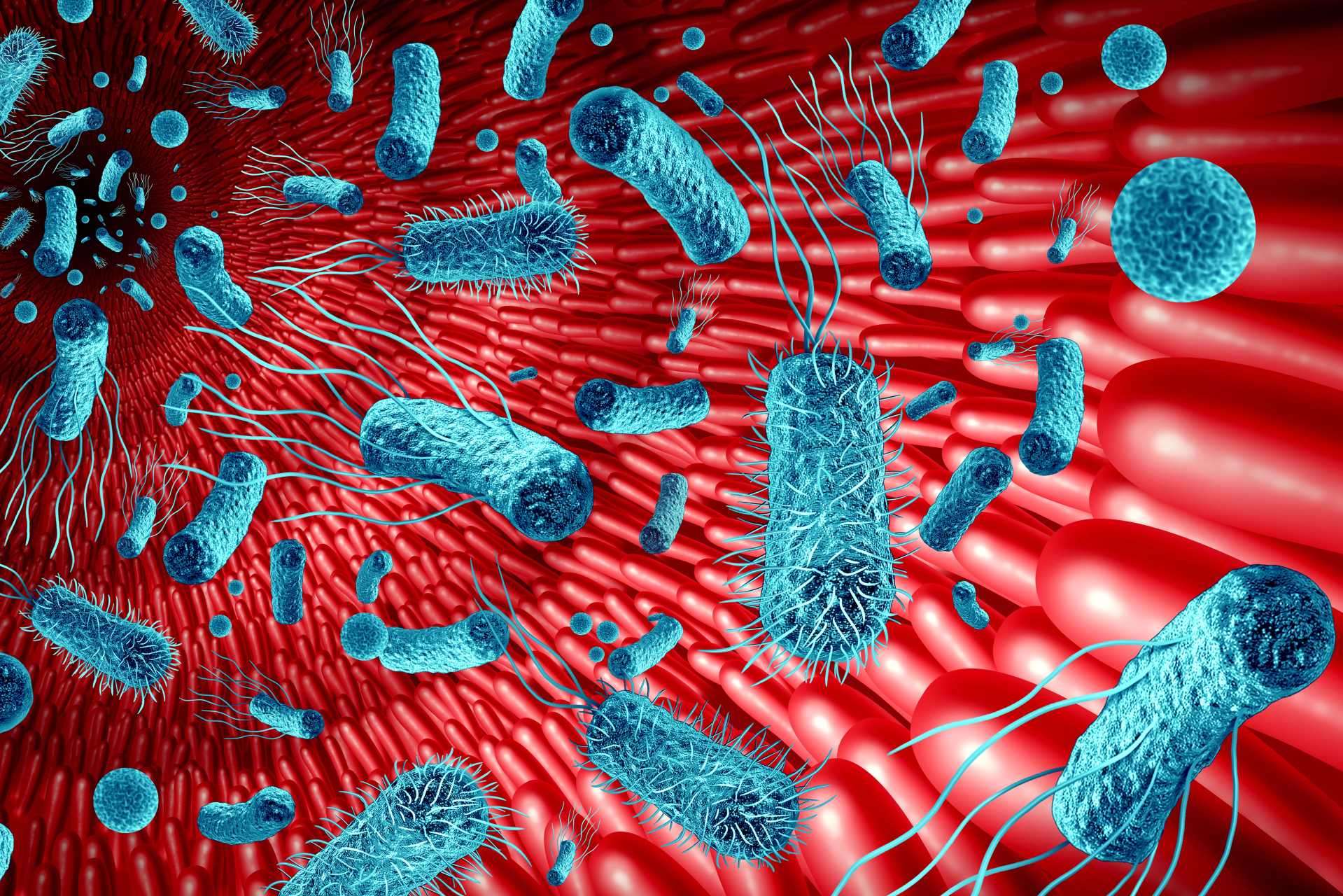 3D illustration of the human digestive system showing gut bacteria and the microbiome within the intestines, representing research into gut health, microbial diversity, and questions about how environmental exposures such as glyphosate may influence the gut microbiome.