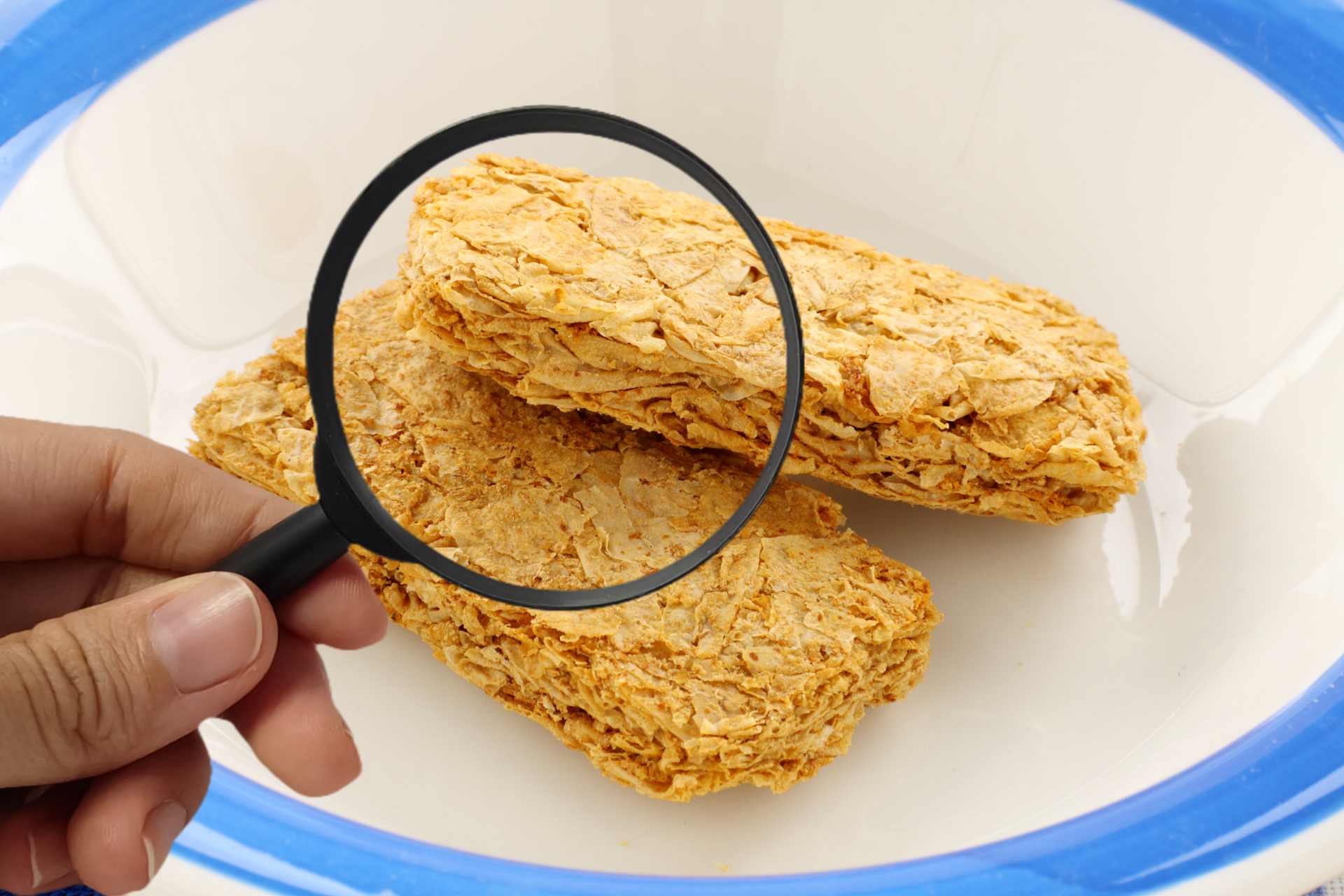 Hand holding a magnifying glass over Weet-Bix cereal in a bowl, symbolising independent food testing, transparency, and informed consumer choice about glyphosate residues in food.