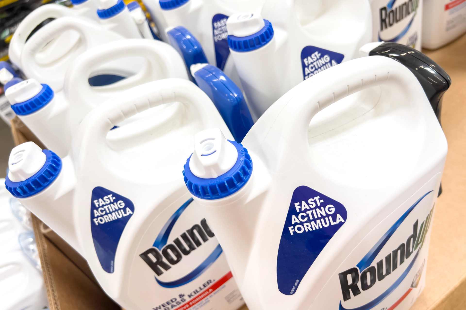 Roundup weed and grass killer containers displayed on a store shelf.