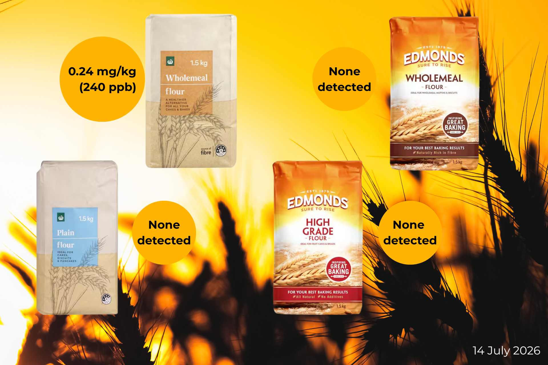 Four supermarket flour products tested by No More Glyphosate NZ for glyphosate residues: Edmonds High Grade Flour, Edmonds Wholemeal Flour, Woolworths Plain Flour and Woolworths Wholemeal Flour, displayed alongside the independent laboratory testing results.