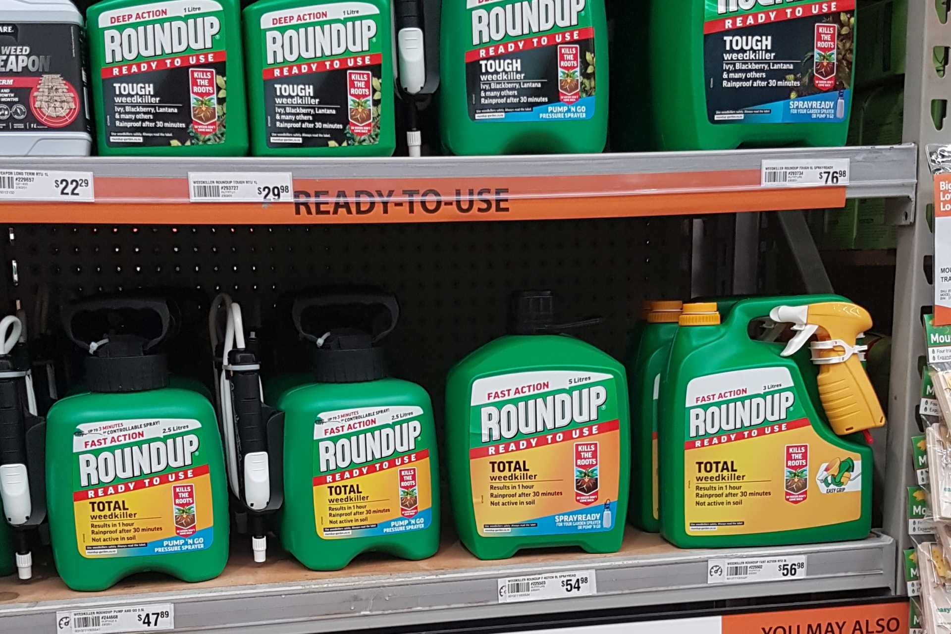 Bottles of Roundup glyphosate-based weedkiller in a hardware store shelf, available for purchase by the general public despite ongoing international scientific and legal disputes over its safety.