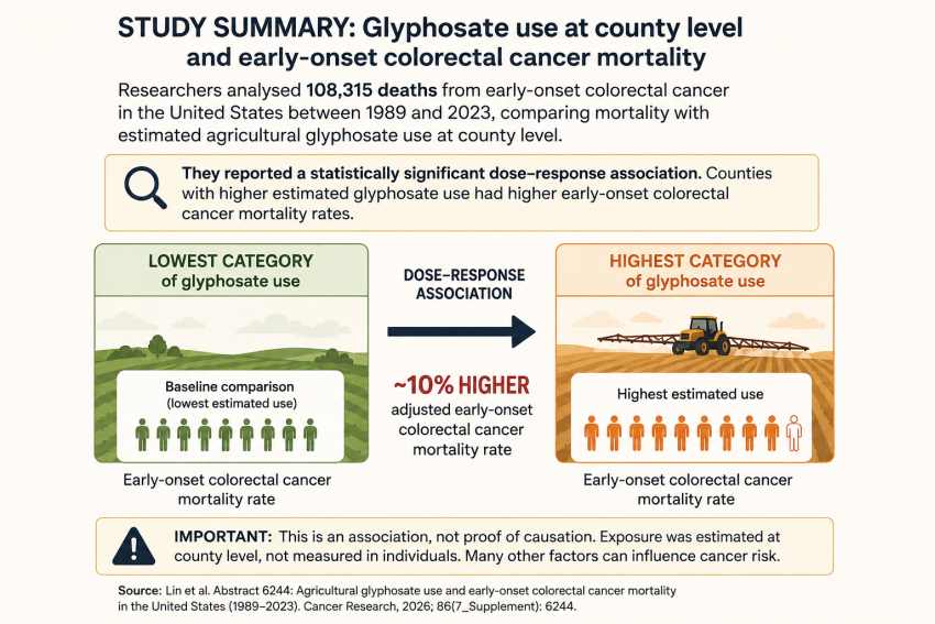 Infographic summarising a 2026 US study that found counties with the highest estimated agricultural glyphosate use had about 10% higher adjusted early-onset colorectal cancer mortality than counties with the lowest use. The study shows an association, not proof of causation.