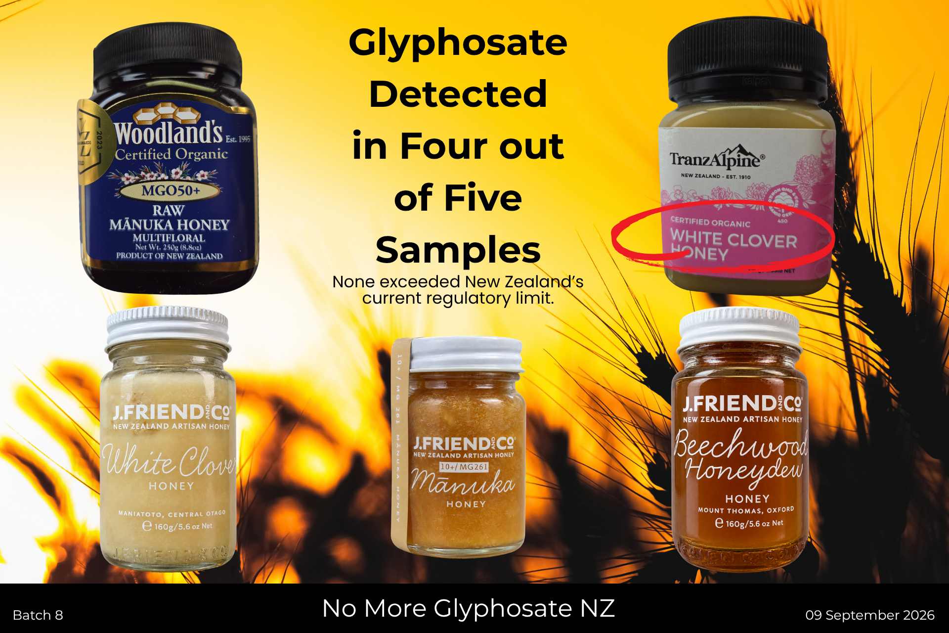 Collage of the five New Zealand honey products included in No More Glyphosate NZ’s eighth round of independent glyphosate testing.