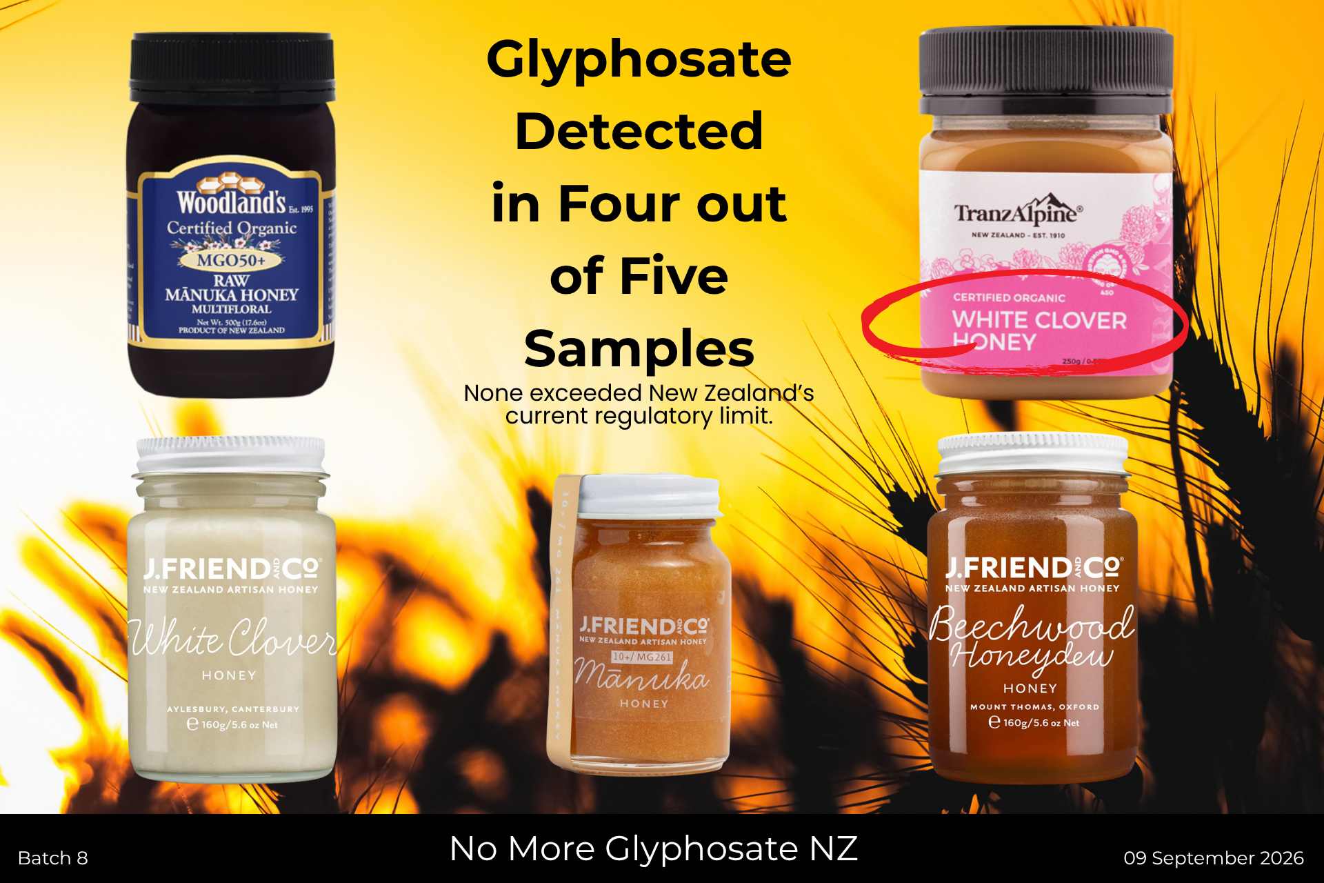Collage of the five New Zealand honey products included in No More Glyphosate NZ’s eighth round of independent glyphosate testing.